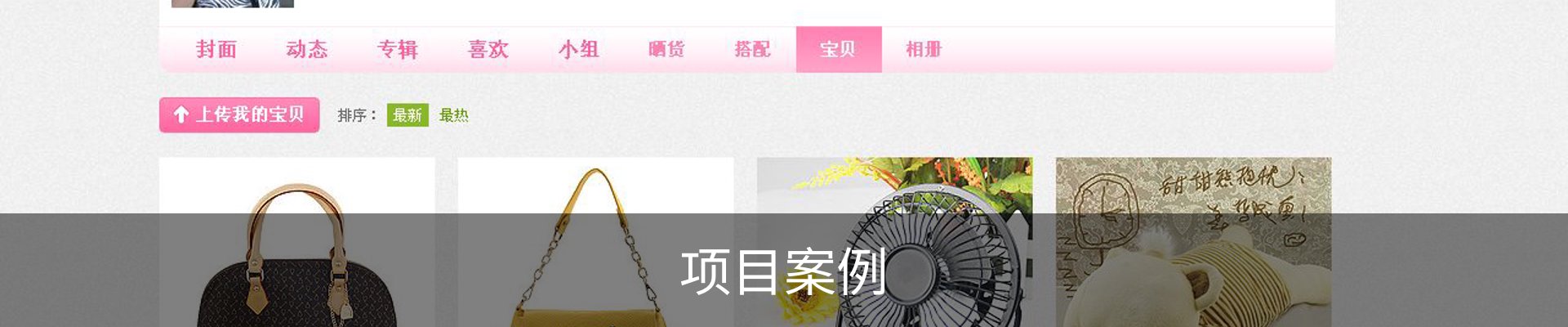 项目案例